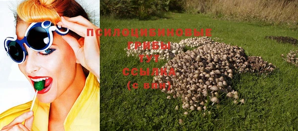 скорость Белокуриха