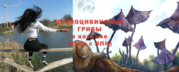 скорость Белокуриха