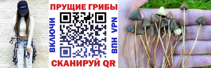Псилоцибиновые грибы MAGIC MUSHROOMS  Купить где  Богданович 